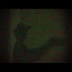 Meet your Posher, Josh